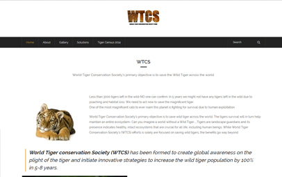 Invirtual - Portfolio